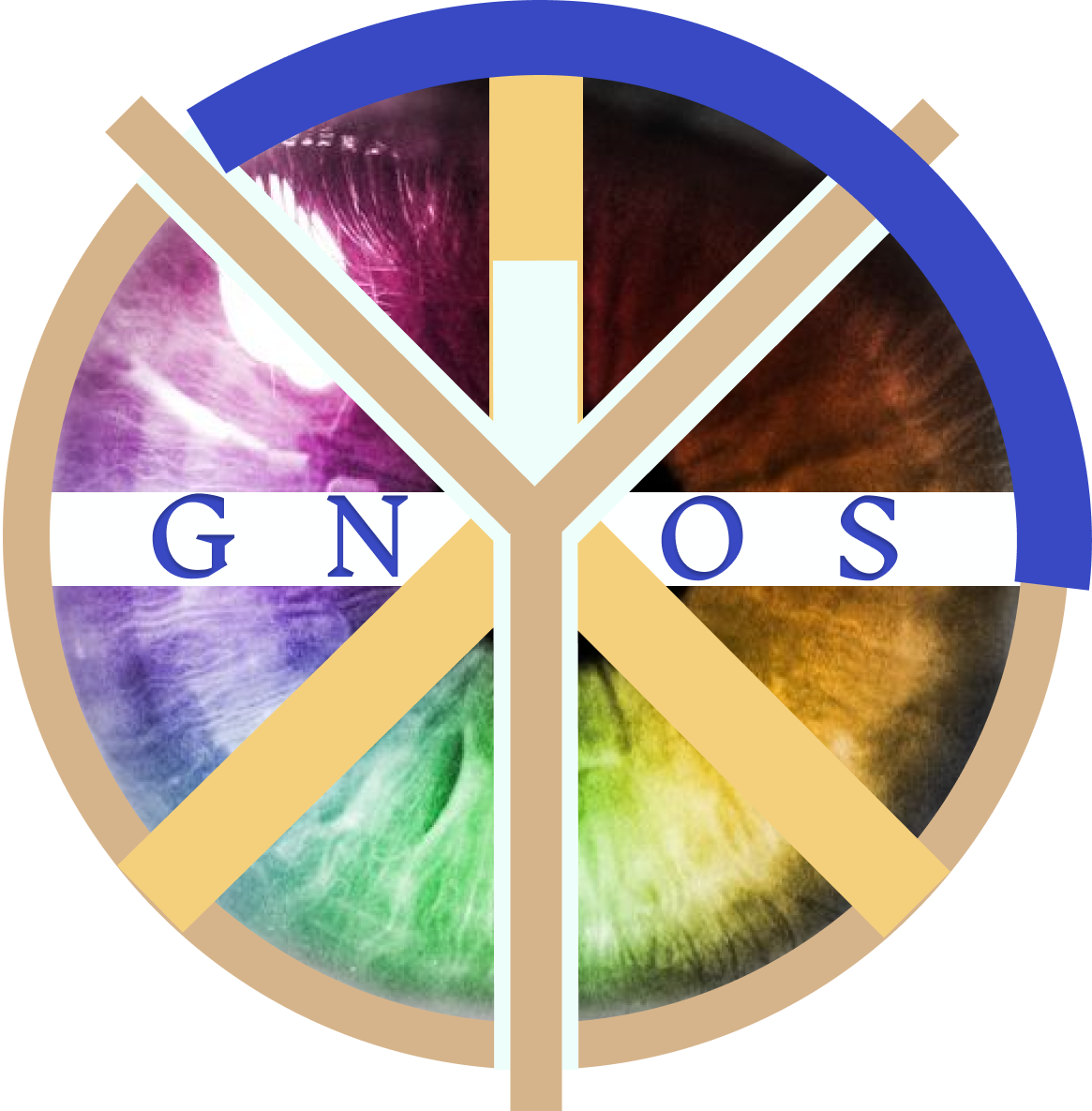 logo della palestra gnos