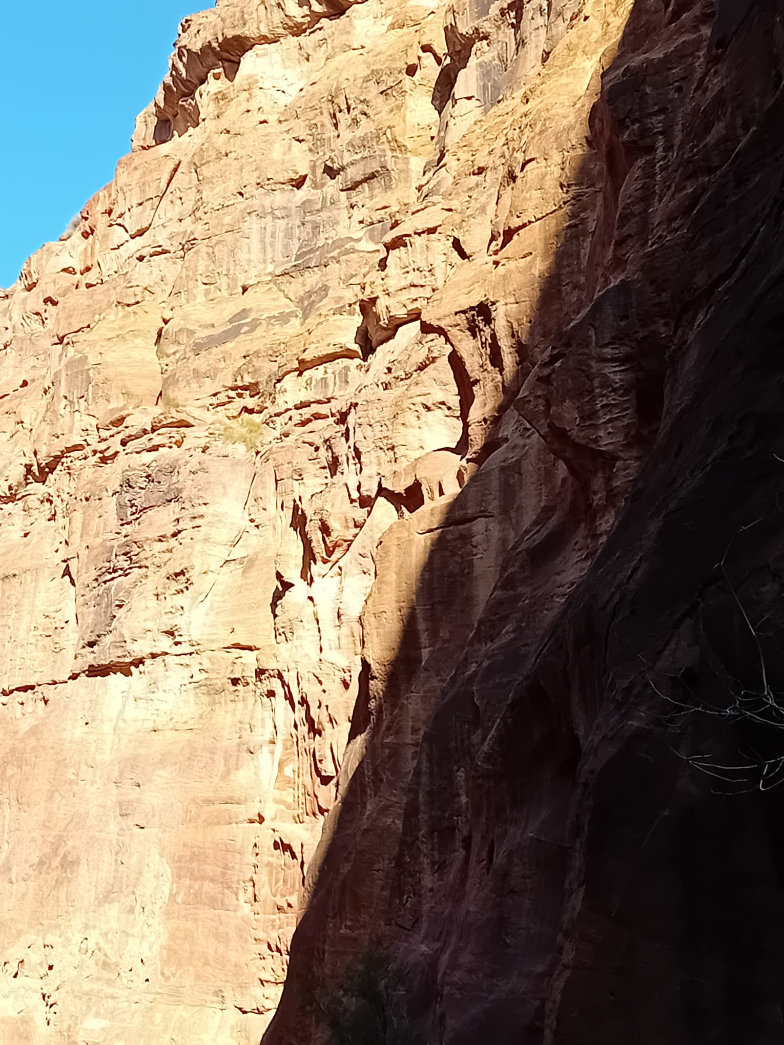 IMG-20250312-WA0074