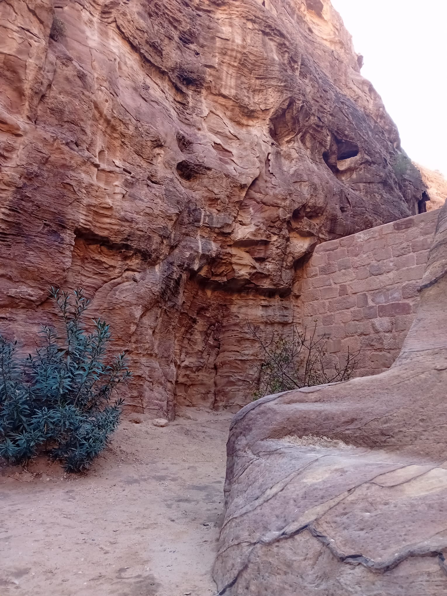 IMG-20250312-WA0079