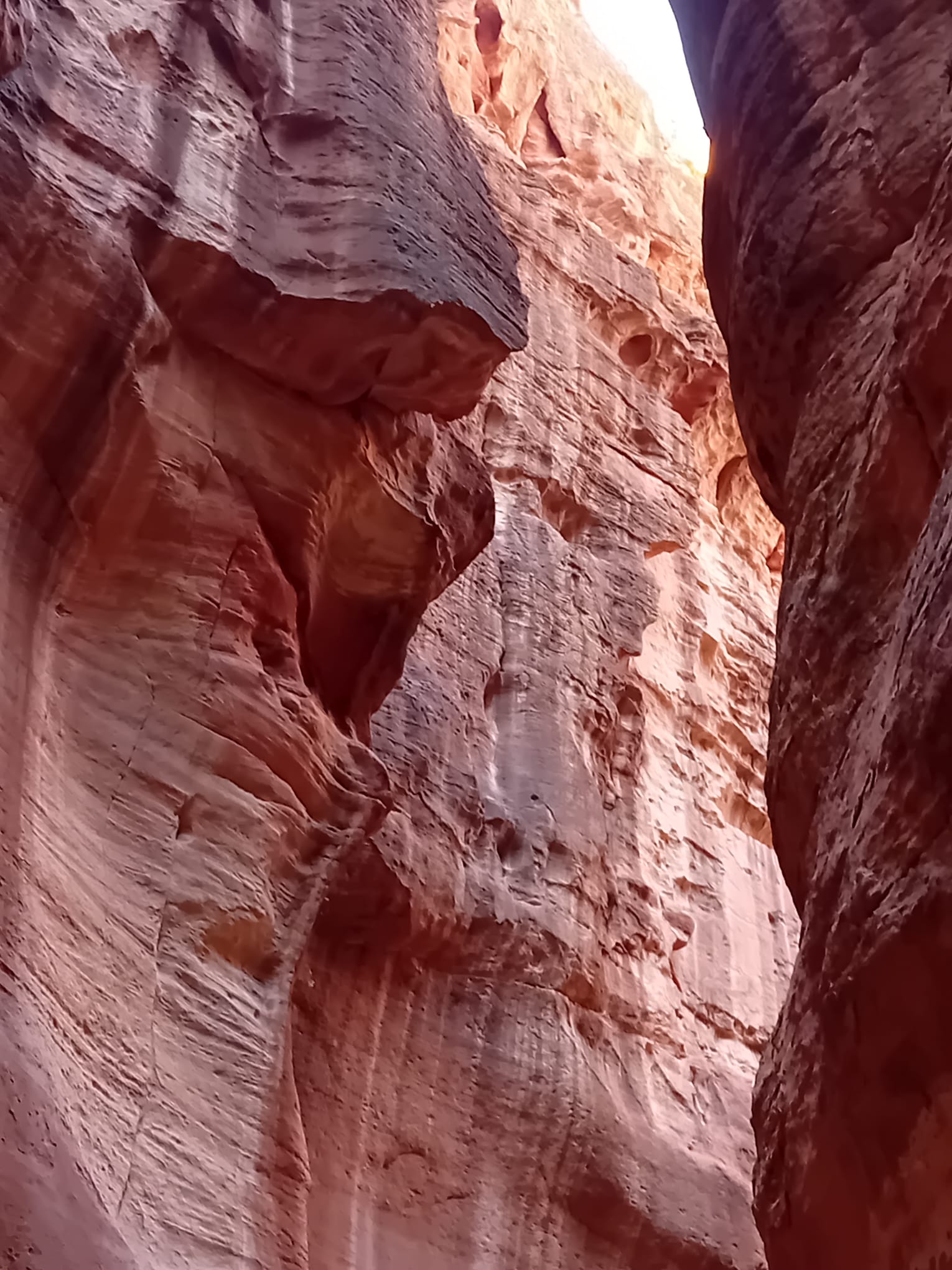 IMG-20250312-WA0082