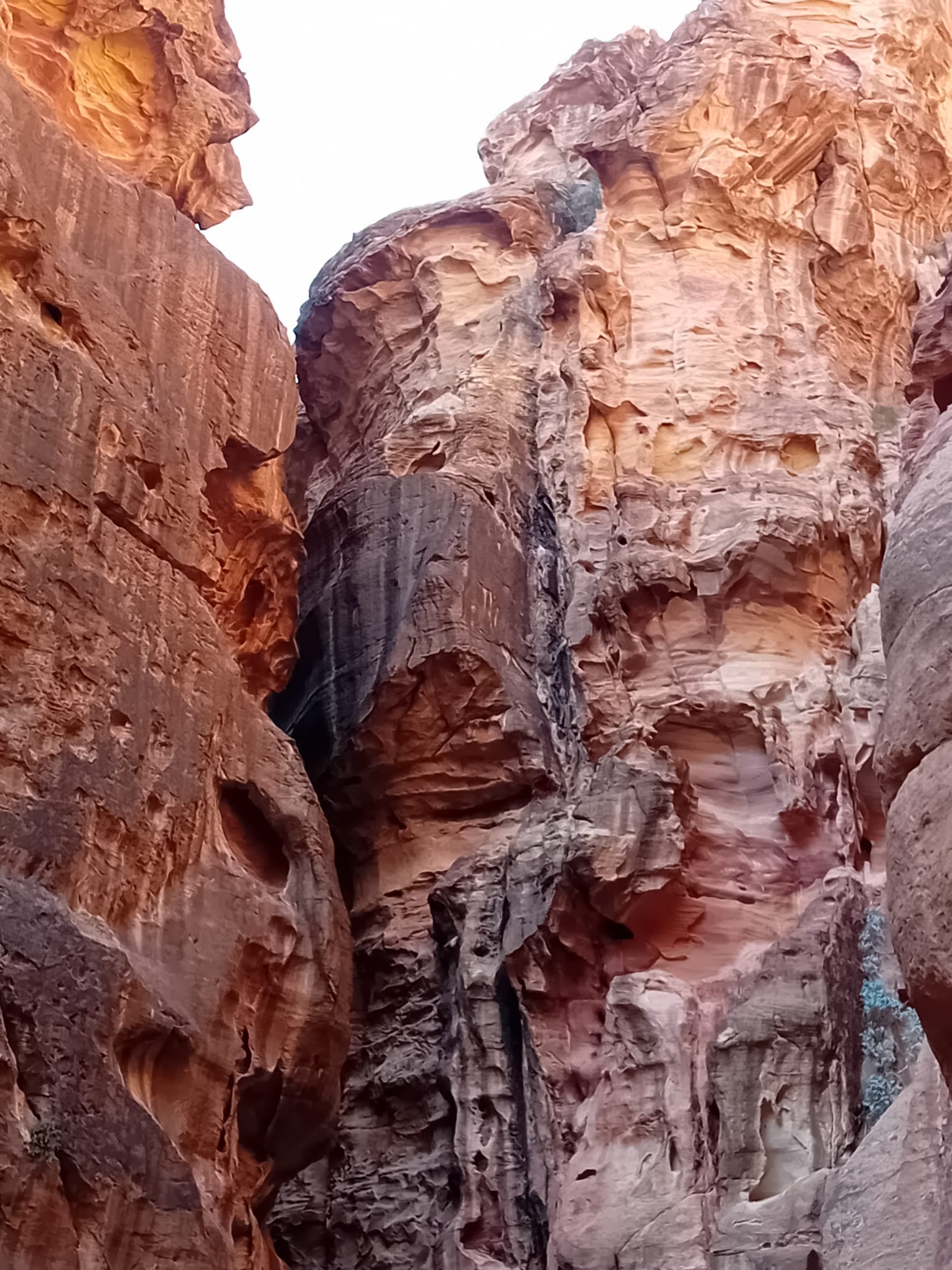 IMG-20250312-WA0098