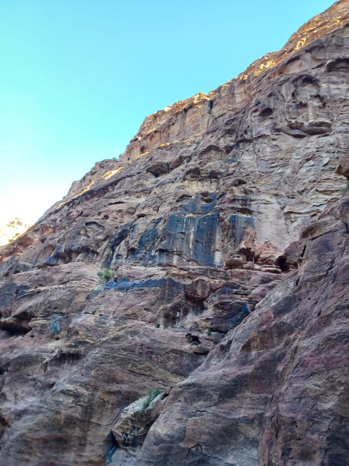 IMG-20250313-WA0047