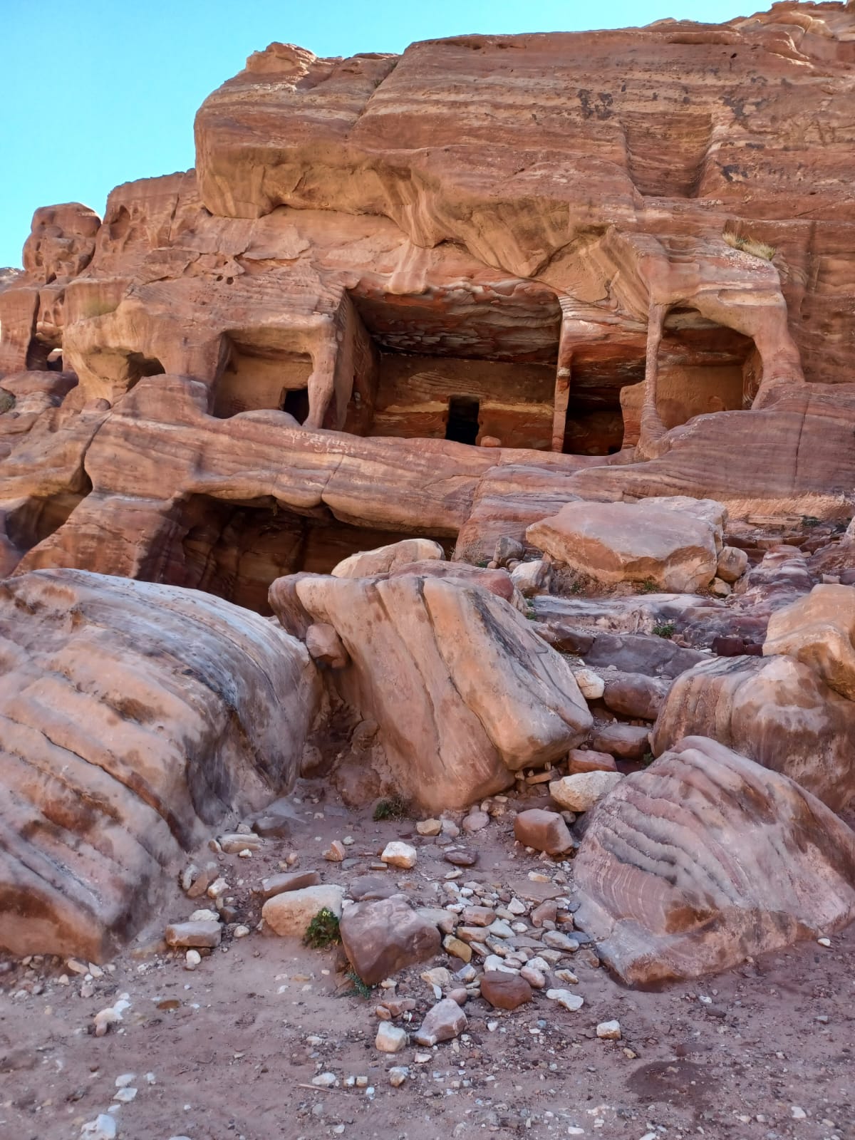 IMG-20250313-WA0061