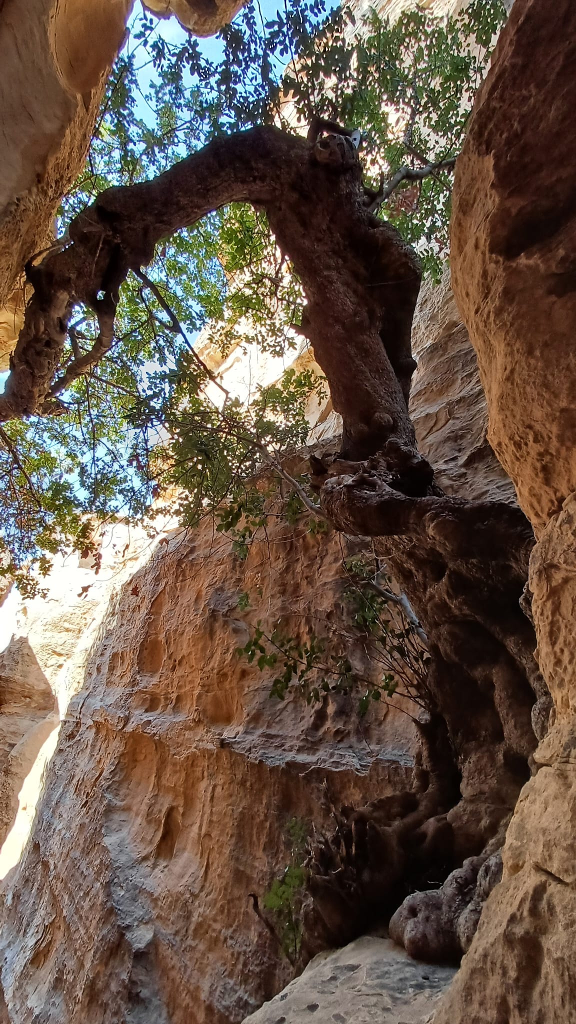 IMG-20250313-WA0073
